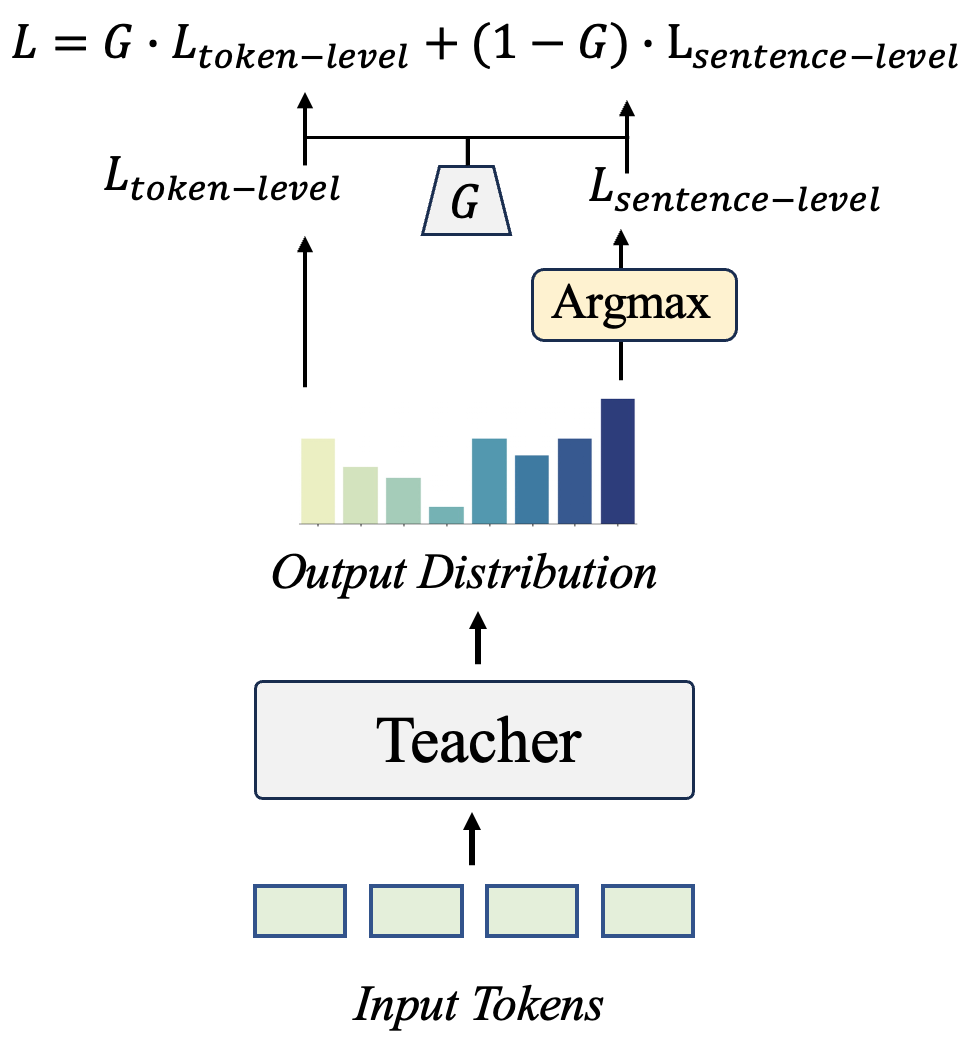 Knowledge Distillation Study