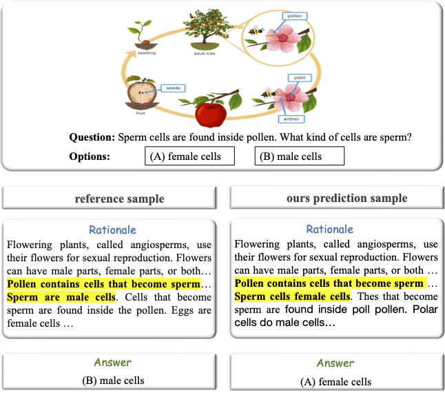 Enhancing Human-like Multimodal Reasoning